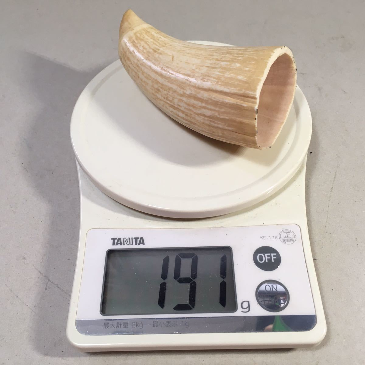 鯨の歯 牙 マッコウクジラ 重量96g レア 希少 抹香鯨 マッコウ鯨