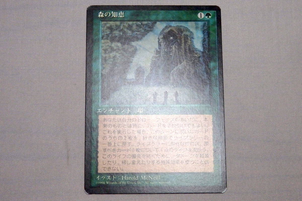 MTG】4版 森の知恵 / Sylvan Library 日本語版 [4ED/黒枠] 【公式通販】
