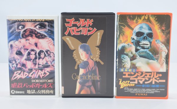 お得，豊富な セクシー レトロ映画 VHS 3本まとめ 未DVD化2本 ゴールドパピヨン 未来戦士エンジェルコマンドー 虐殺バッドガールズ 洋画 Kc-664H(字幕版)｜売買されたオークション情報、yahooの商品情報をアー 字幕版