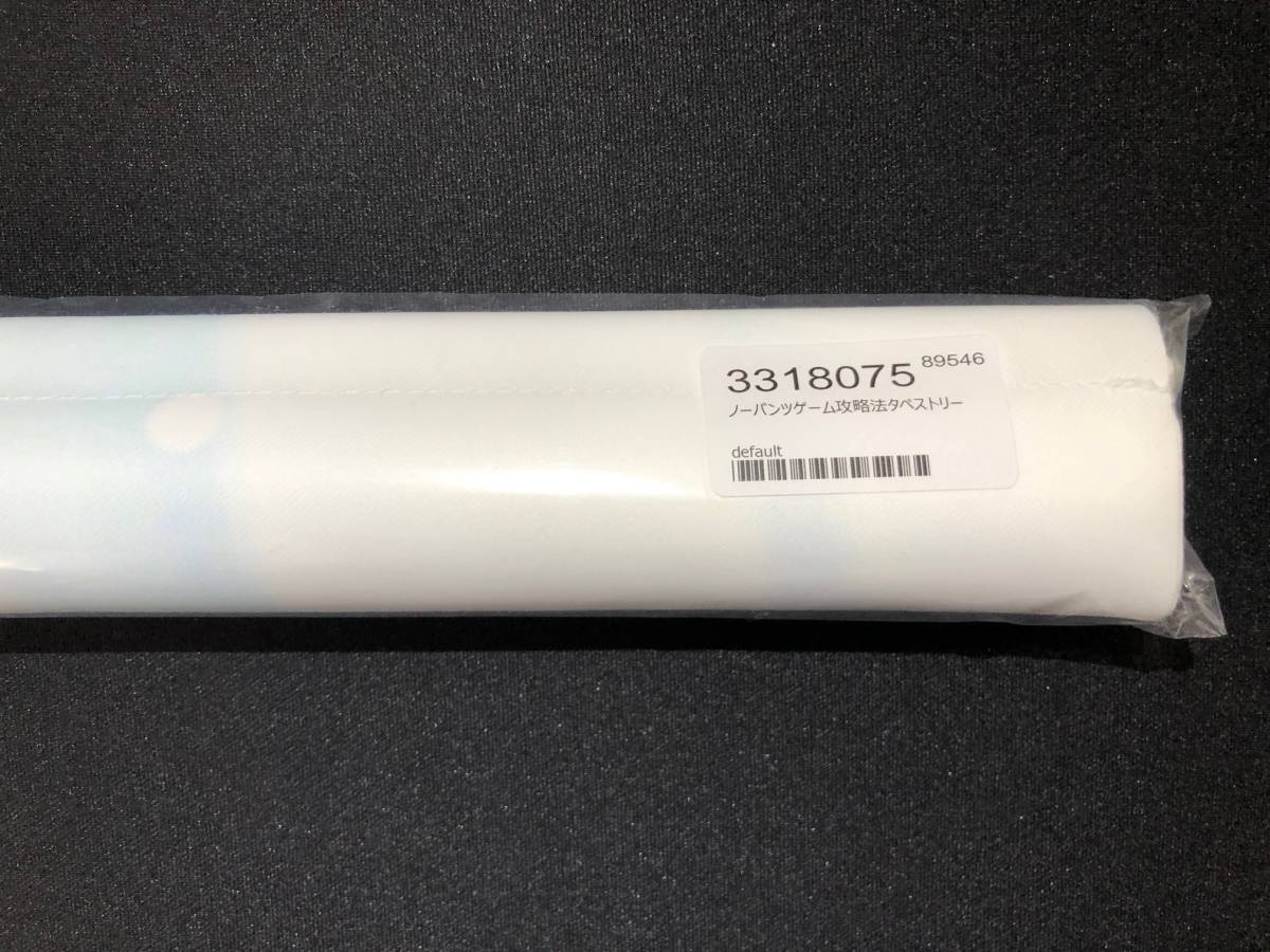 未開封】ノーパンツゲーム攻略法 B2タペストリー 涼香 涼屋 しりな 