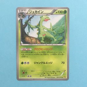 国内外の人気が集結 ポケカ 歴代 キモリ ジュプトル ジュカイン バラ売り 専用 ポケモンカードゲーム Mscivilrightsproject Org