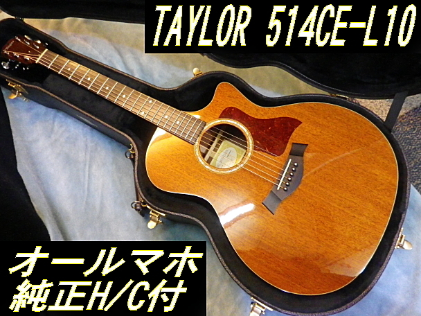 ☆ Taylor テイラー 514-CE-L10 オールマホ 美品 美鳴り 純正ハード 