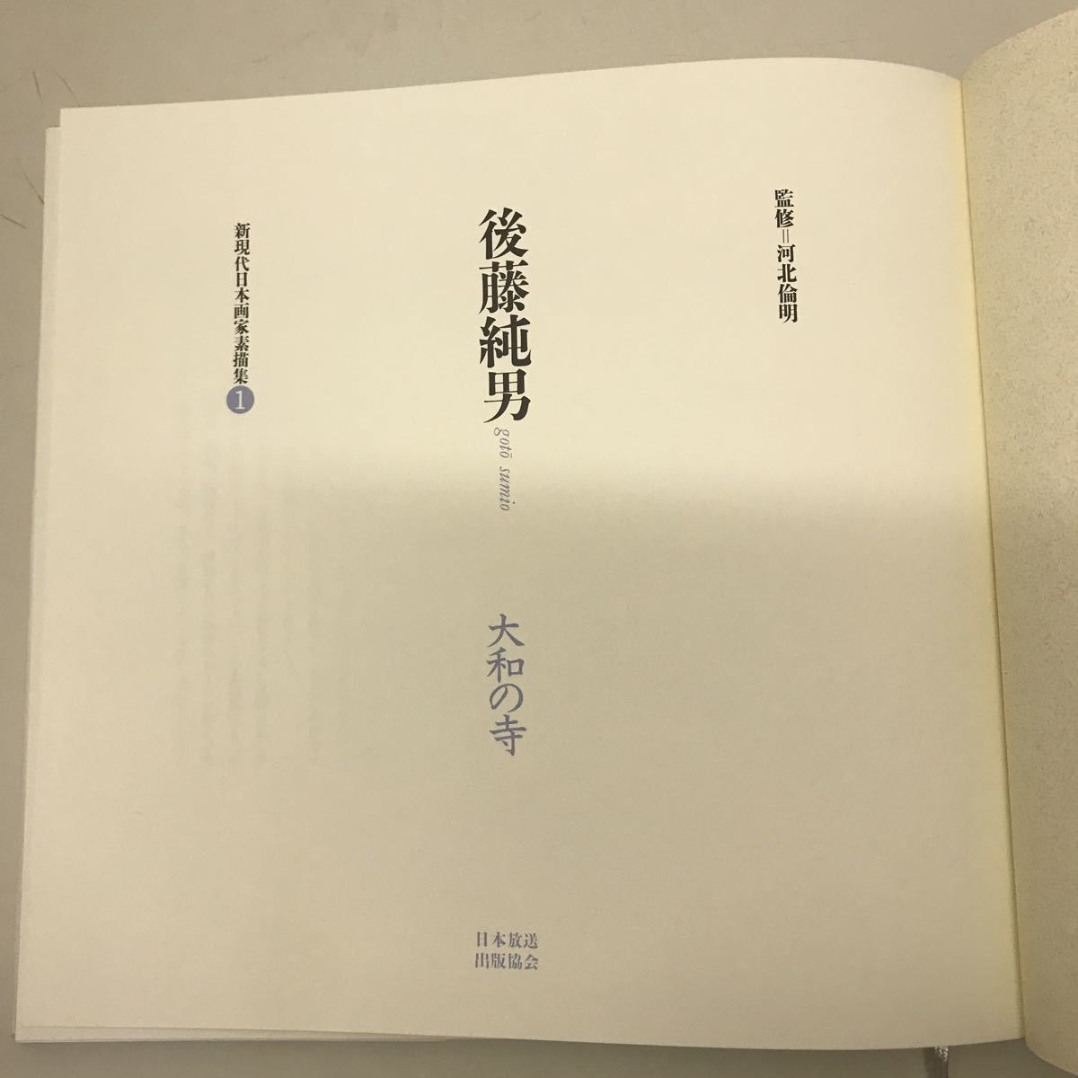 211223☆T11☆新現代日本画家素描集 まとめ10冊セット 1～7、10～12巻 