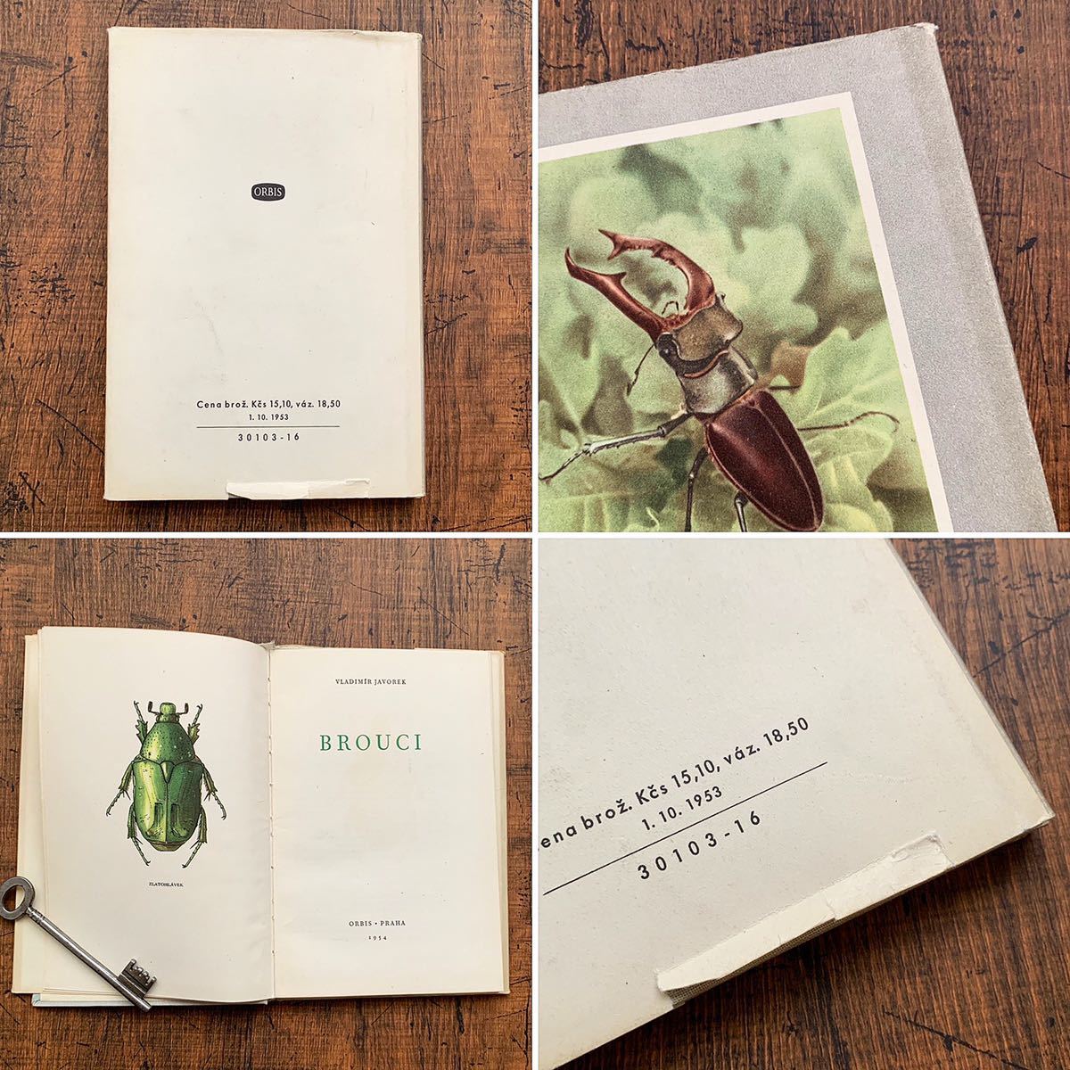 788種類の美しい昆虫のリトグラフ]チェコの古い昆虫 : (ポケット図鑑