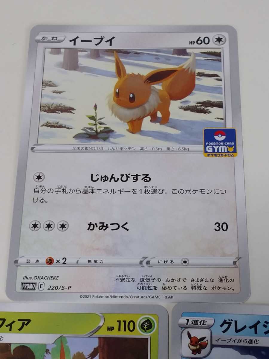 ポケモンカード プロモ イーブイ グレイシア リーフィア ポケモン