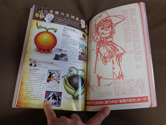 集英社 ワンピース マガジン ｖoｌ ８ サンジ 手配書付き One Piece 売買されたオークション情報 Yahooの商品情報をアーカイブ公開 オークファン Aucfan Com