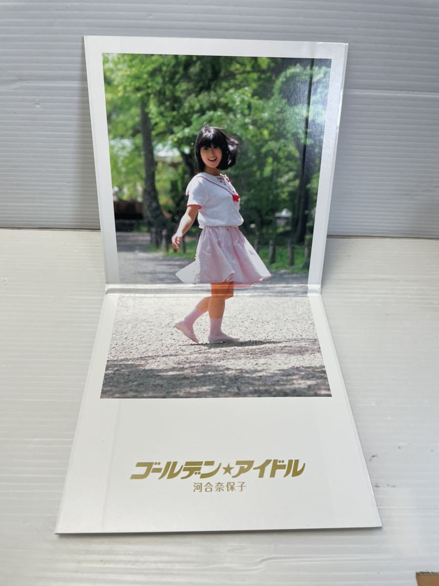 ゴールデン☆アイドル 河合奈保子