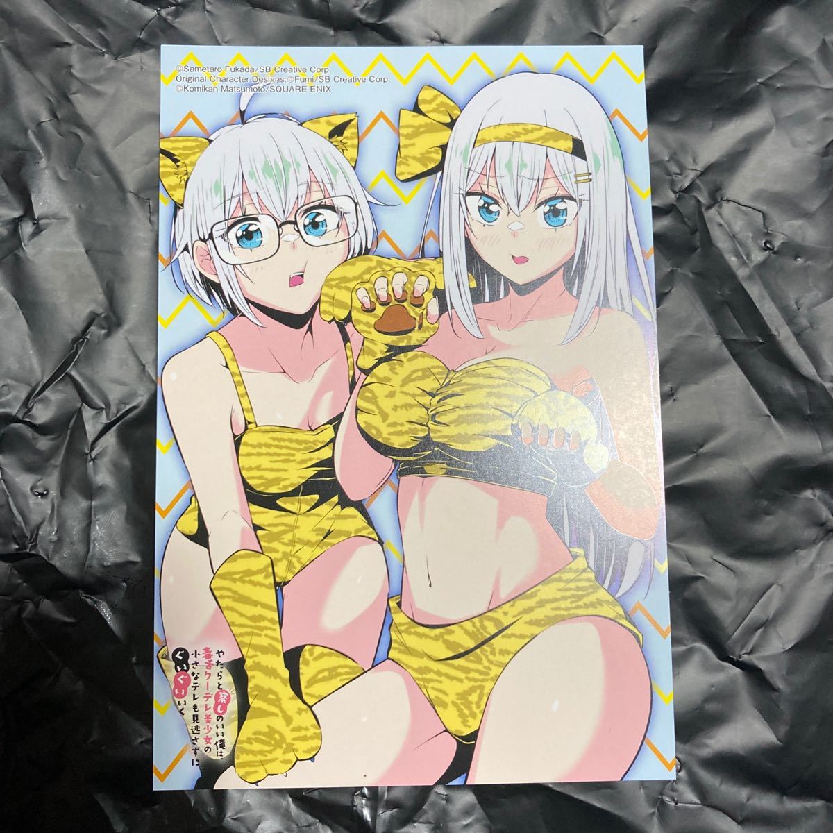 やたらと察しのいい俺は 毒舌クーデレ美少女の小さなデレも見逃さずにぐいぐいいく イラストカード とらのあな その他 売買されたオークション情報 Yahooの商品情報をアーカイブ公開 オークファン Aucfan Com