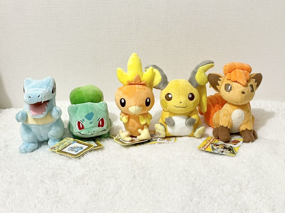 ポケモンセンター キャンバス ロコン ライチュウ アチャモ フシギダネ 