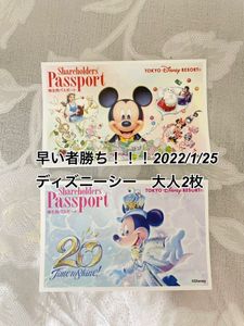 超可爱 ディズニー バレンタイン チケット ディズニーシー ディズニーリゾート 2 14 その他イベント Www Periodista360 Com