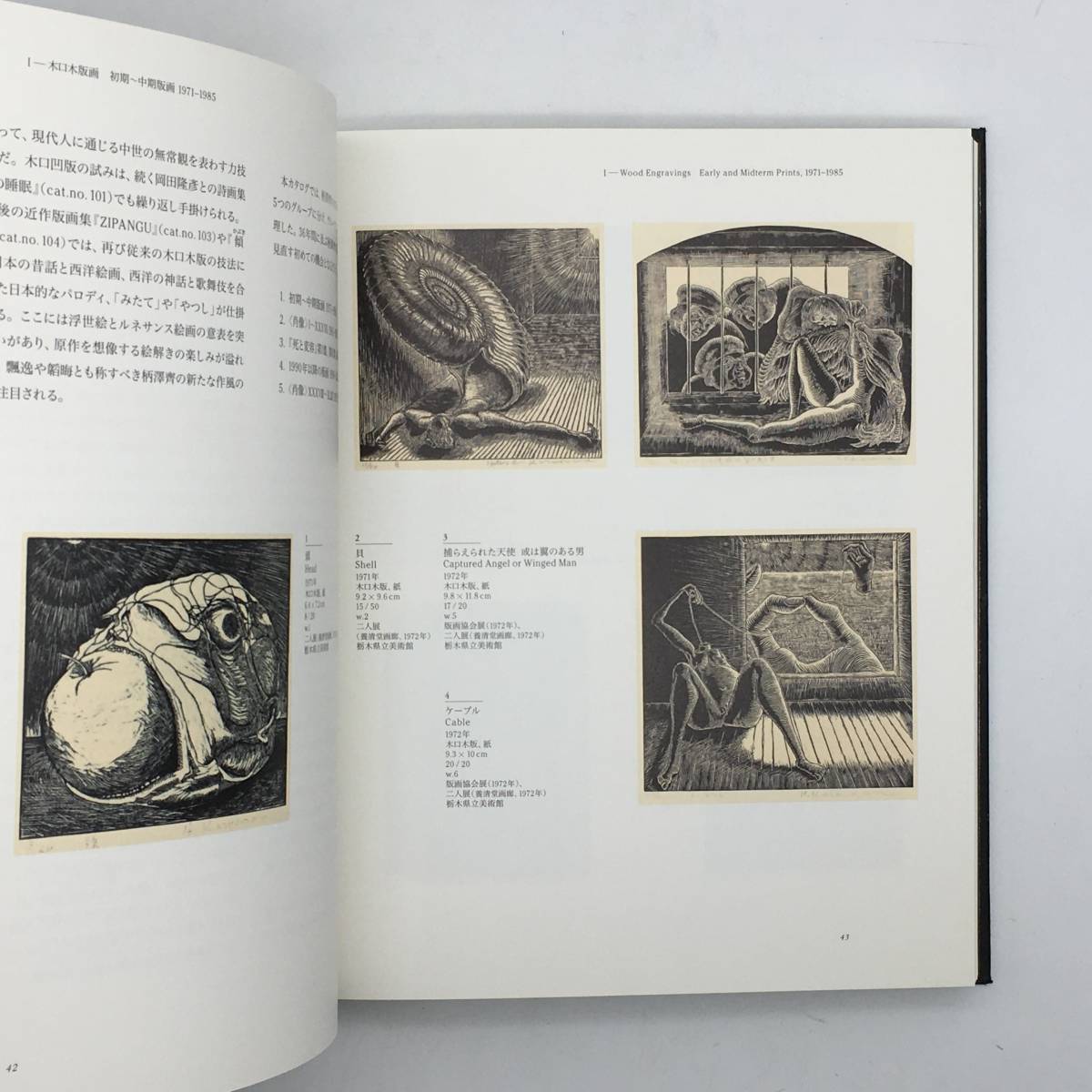 図録】木版画一枚入り 柄澤齊展 : 版画、オブジェ、水彩、本 1971-2006 