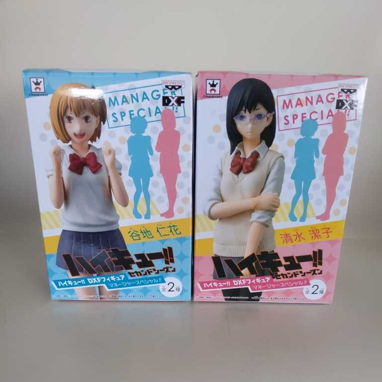 ハイキュー!! DXFフィギュア マネージャースペシャル 清水潔子 谷地日