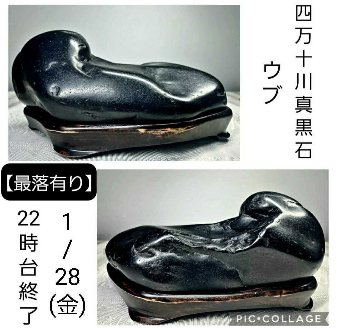 最落有り】《お正月特集》水石 盆栽 骨董 四万十川真黒石 ウブ 横16×高