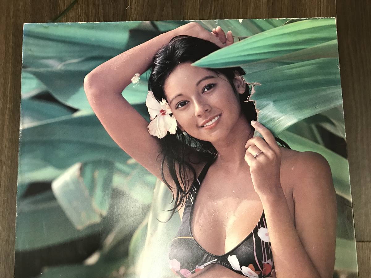 0126-07◇アグネス・ラム 木製パネル ポスター 看板 水着 約67×49×2cm