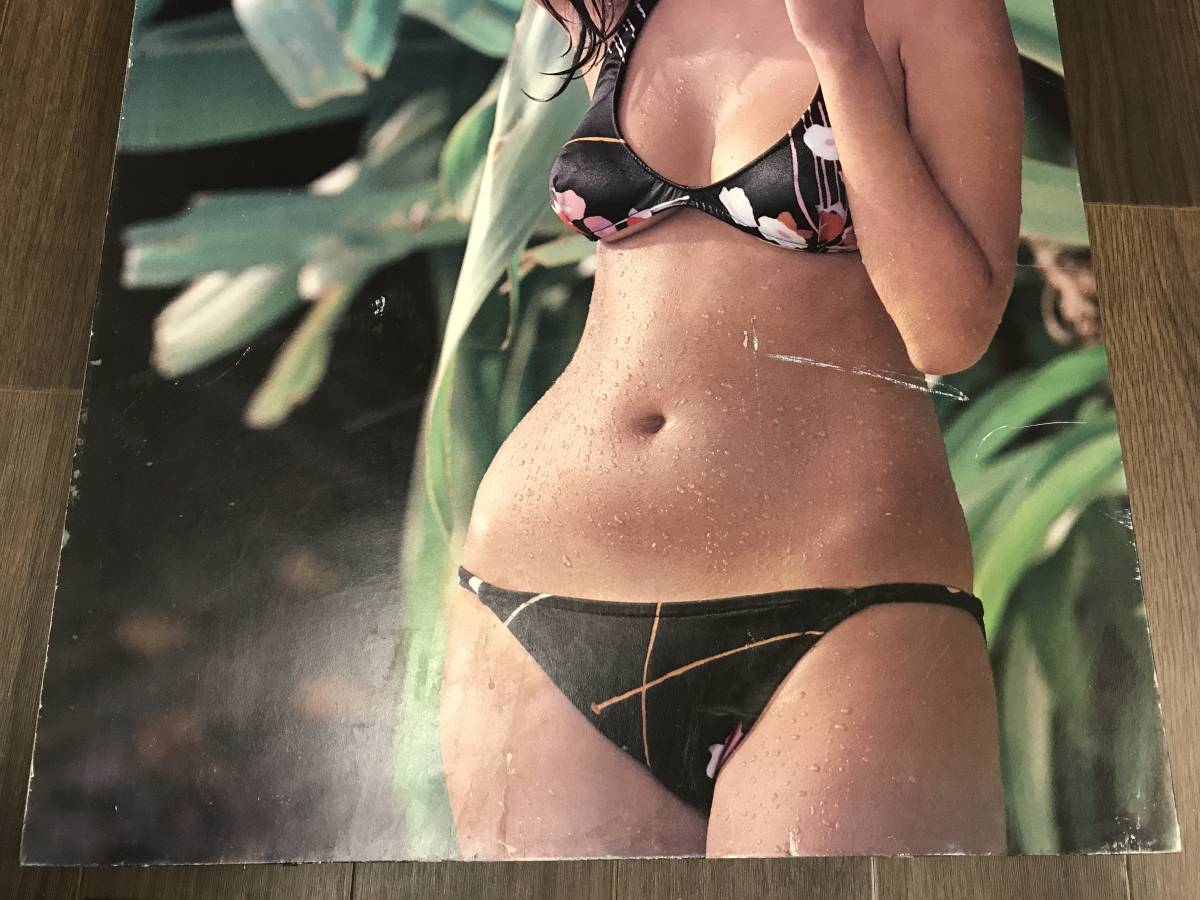 0126-07◇アグネス・ラム 木製パネル ポスター 看板 水着 約67×49×2cm