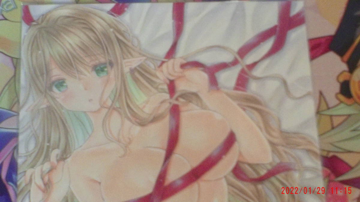 エルフの女の子 裸リボン オリジナル B5サイズ 手描きイラスト 手描きイラスト 売買されたオークション情報 Yahooの商品情報をアーカイブ公開 オークファン Aucfan Com