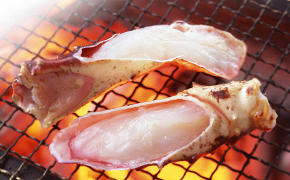 北海北の味限定1尾特大Sランク活堅訳なし本タラバオス1尾4.8ｋｇ