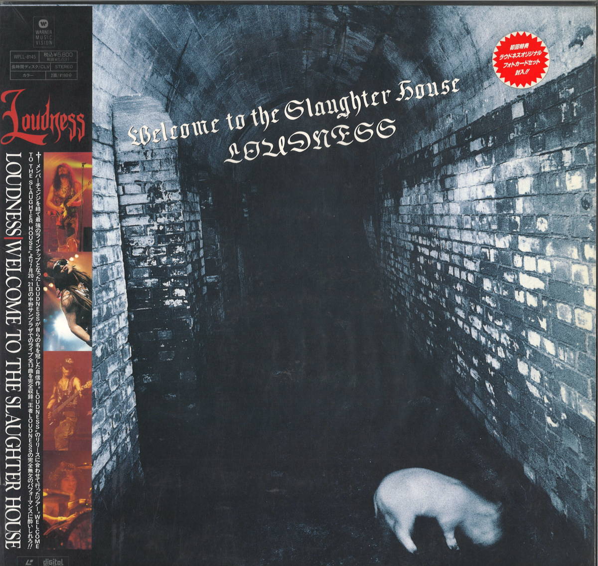 お得，新作 ラウドネス Loudness / WELCOME TO THE SLAUGHTER HOUSE / WARNER MUSIC VISION WPLL-8145 LD0003 元EZOのメンバーMasaki & Taiji参加(ハードロック)｜売買されたオークション情報、yahooの商品情報をアーカイブ公開 - ハードロック