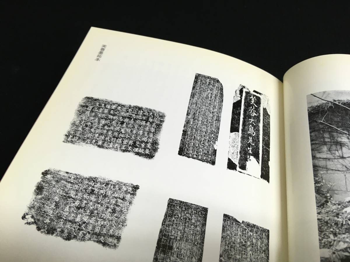 SW-060書道篆刻書 高芙蓉記念展図録 逝世二百年 小林斗庵 昭和60年 日