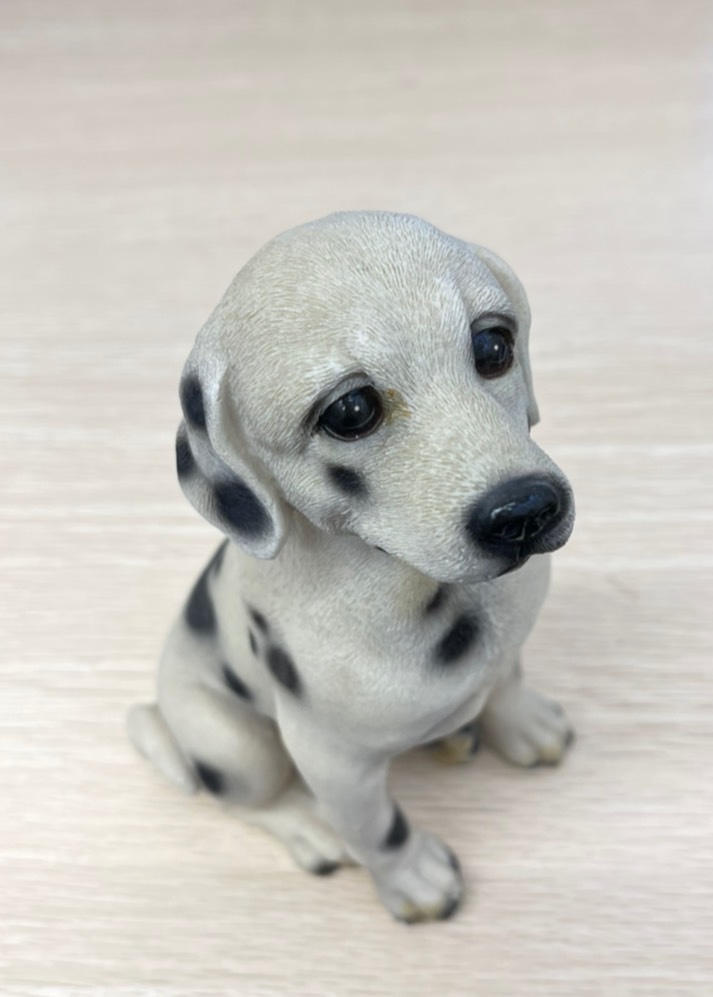 2872 ダルメシアン 犬 オブジェ Dog ペット ガーデン インテリア 犬の置物 かわいい 玄関 庭 置物 売買されたオークション情報 Yahooの商品情報をアーカイブ公開 オークファン Aucfan Com