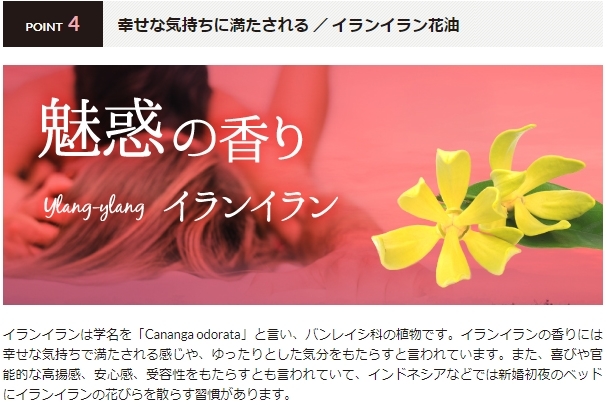 6本セット★リピアミューズ パーフェクト ヘアオイル+ Ella100ml ODECO.MART(オデコマート) / リピアミューズ パーフェクト ヘアオイル+