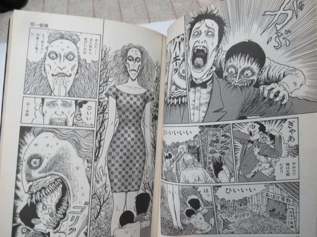 闇の声 潰談 新 闇の声 伊藤潤二の猫日記 よん むー セット Mpn5stkbwz Www Vishwa Co In