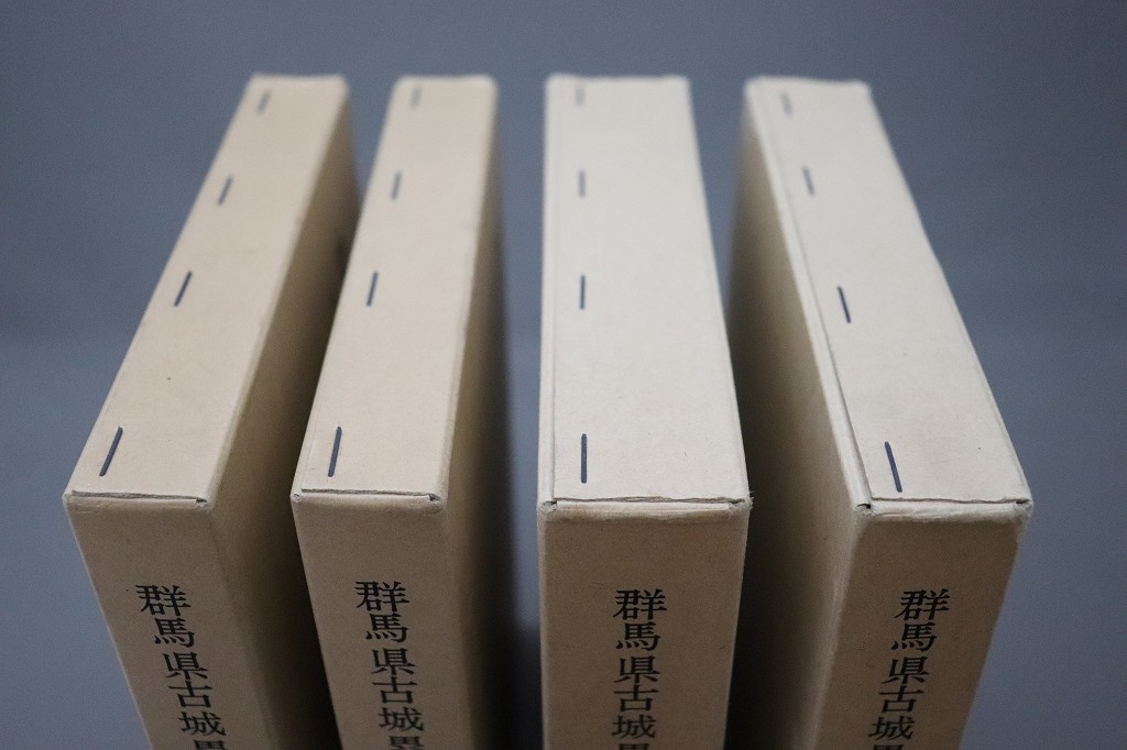 ◇送料無料・お城好き必見◇ 『群馬県古城塁址の研究 正篇＋補遺篇4冊