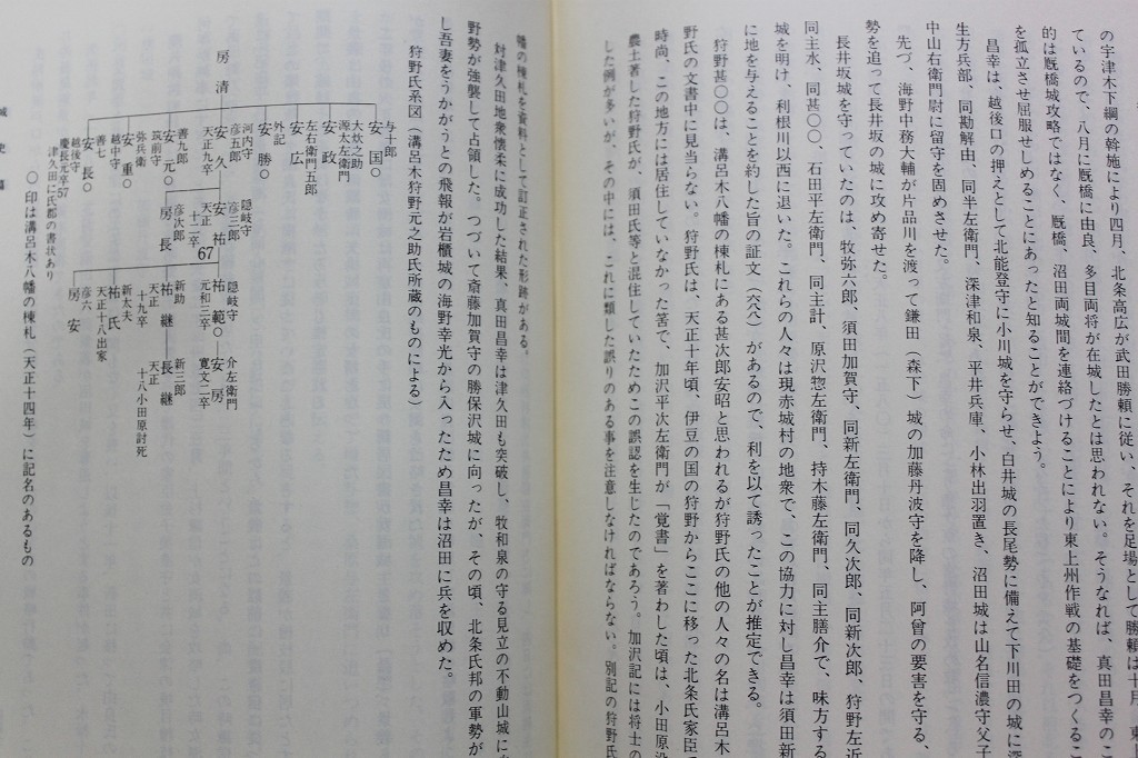 ◇送料無料・お城好き必見◇ 『群馬県古城塁址の研究 正篇＋補遺篇4冊
