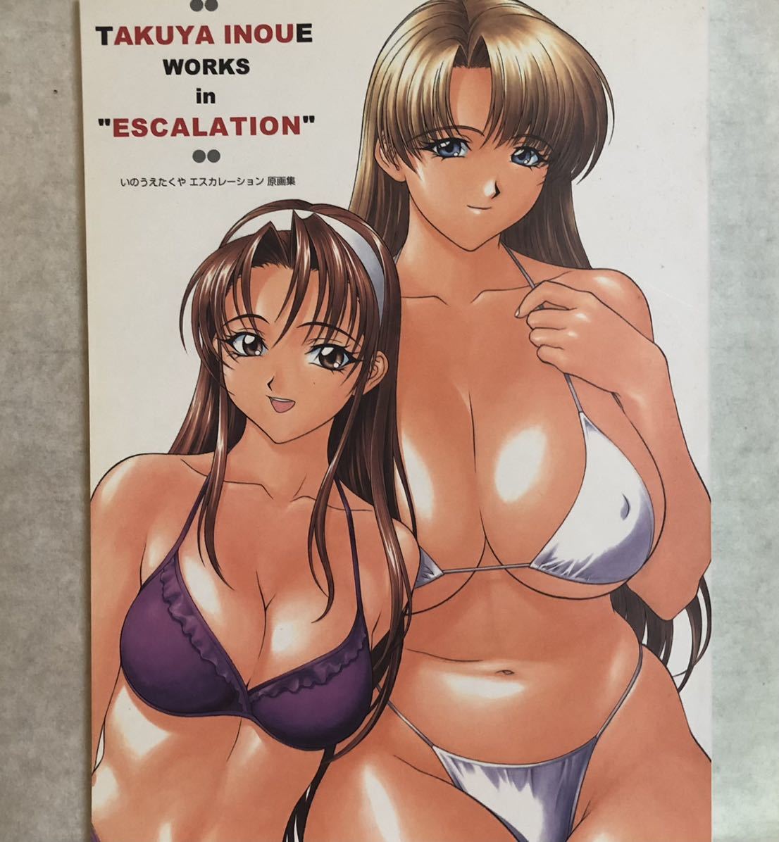  いのうえたくや エスカレーション原画集 澱夜書房 Takuya Inoue ちちのえ 巨乳 イラスト(イラスト集、原画集)｜売買されたオークション情報、yahooの商品情報をアーカイブ公開 - オークファン イラスト集、原画集