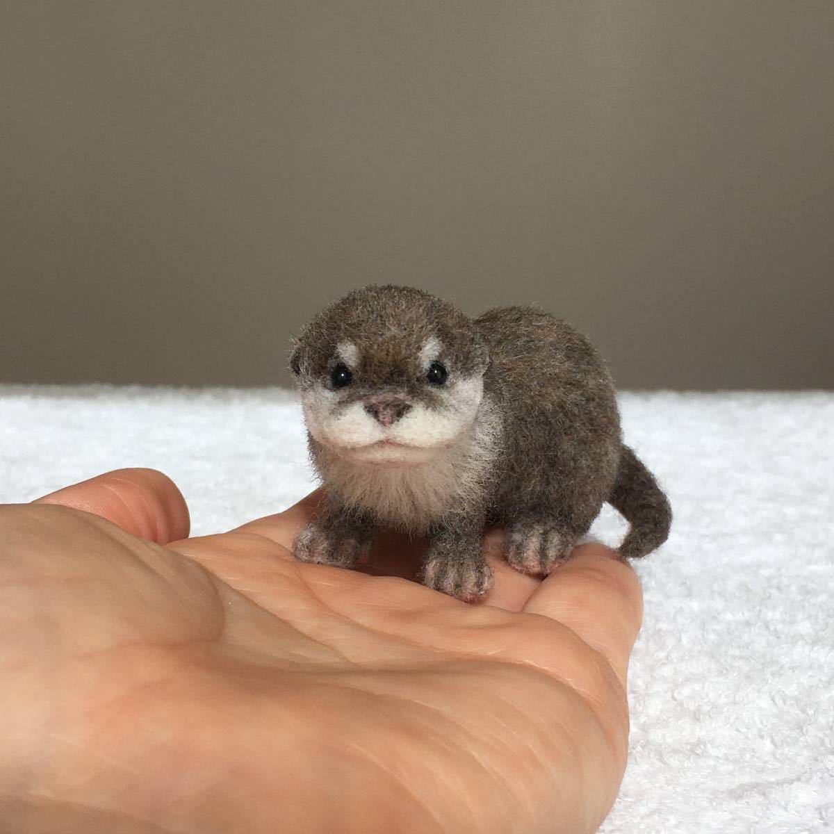 羊毛フェルト　コツメカワウソ 羊毛フェルト コツメカワウソ 【公式通販】
