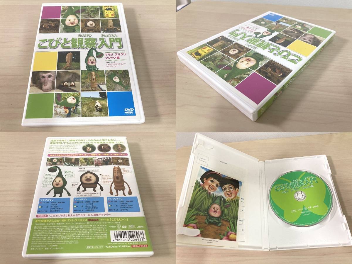 送料無料 □ DVD こびとづかん こびと観察入門 カブト/マリモ/モモジリ