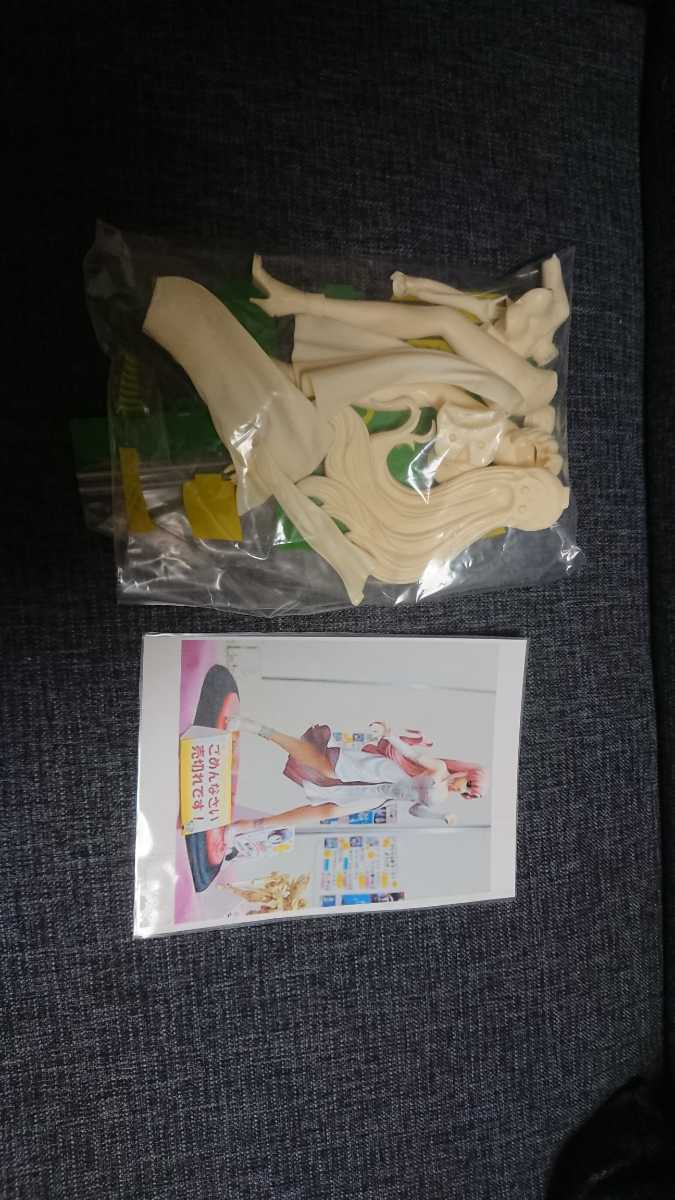 ラクス・クライン ガレージキット アイドルver．機動戦士ガンダムSEED