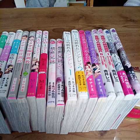 TLコミック 調教系男子3冊 きみは面倒な婚約者3冊 禁断兄弟 ヒールの  