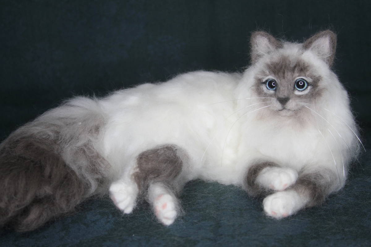 羊毛フェルト・寝そべるラグドール・猫 