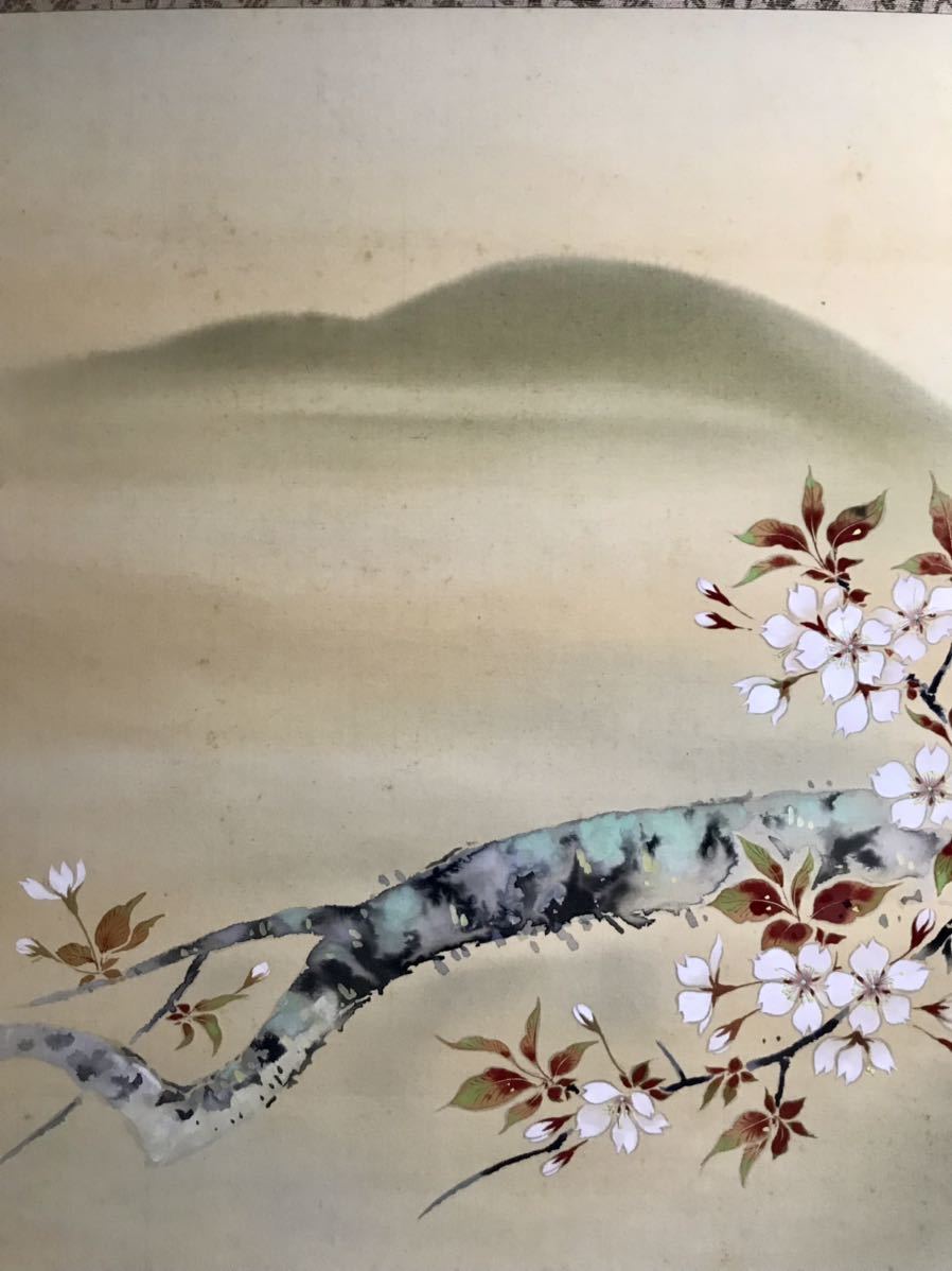 雀]☆高鳳【瀑布に山桜】(仮題) 日本画 掛軸 尺五立 [肉筆]＊迫力の