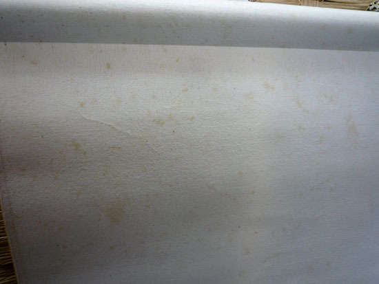 掛軸 伊東深水 吹雪 約132×66cm 彫師/大倉半兵衛 摺師/中條甲子雄