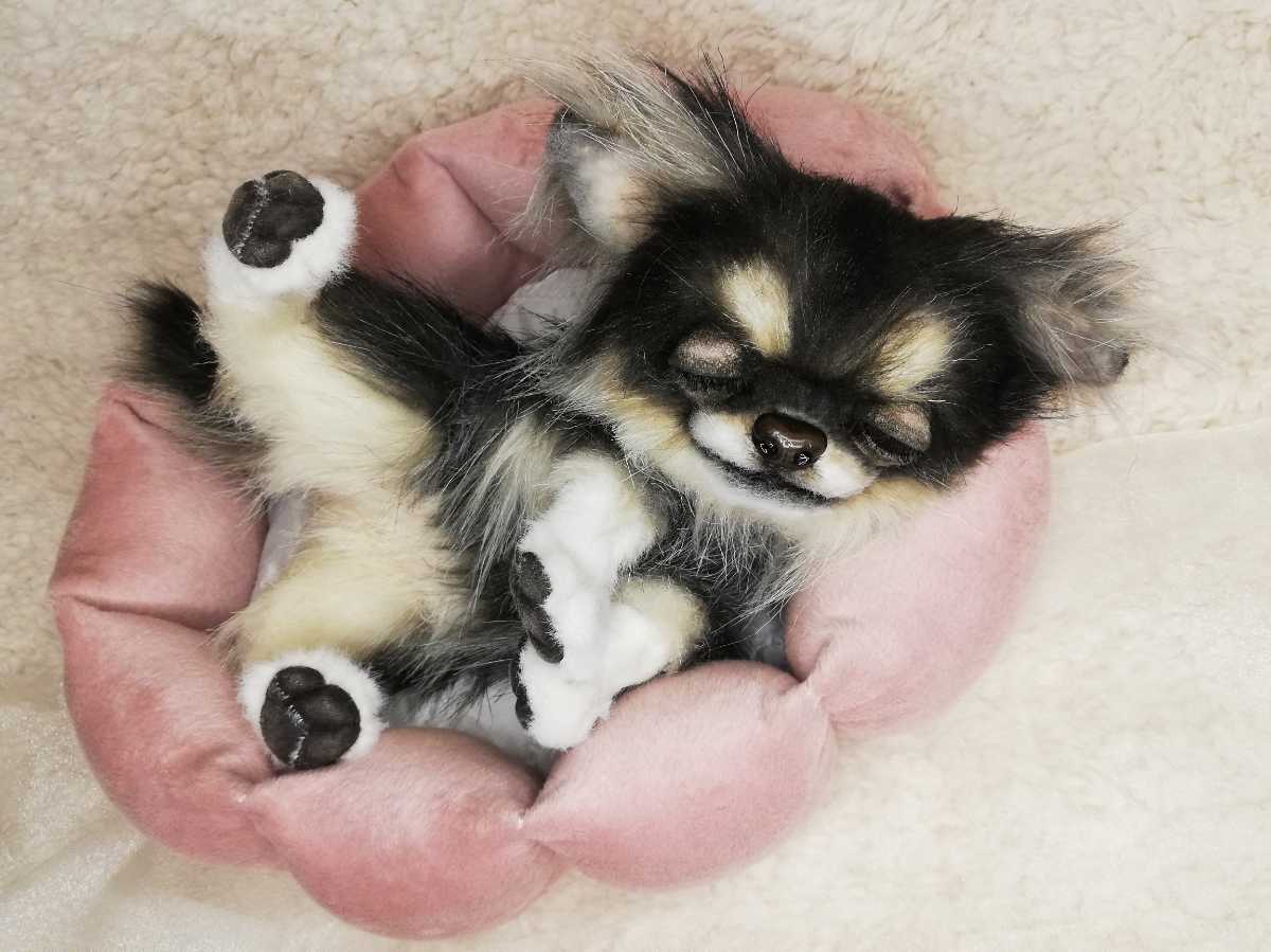 作家 ぬいぐるみ チワワ 犬 リアル テディベア 羊毛フェルト ブライス