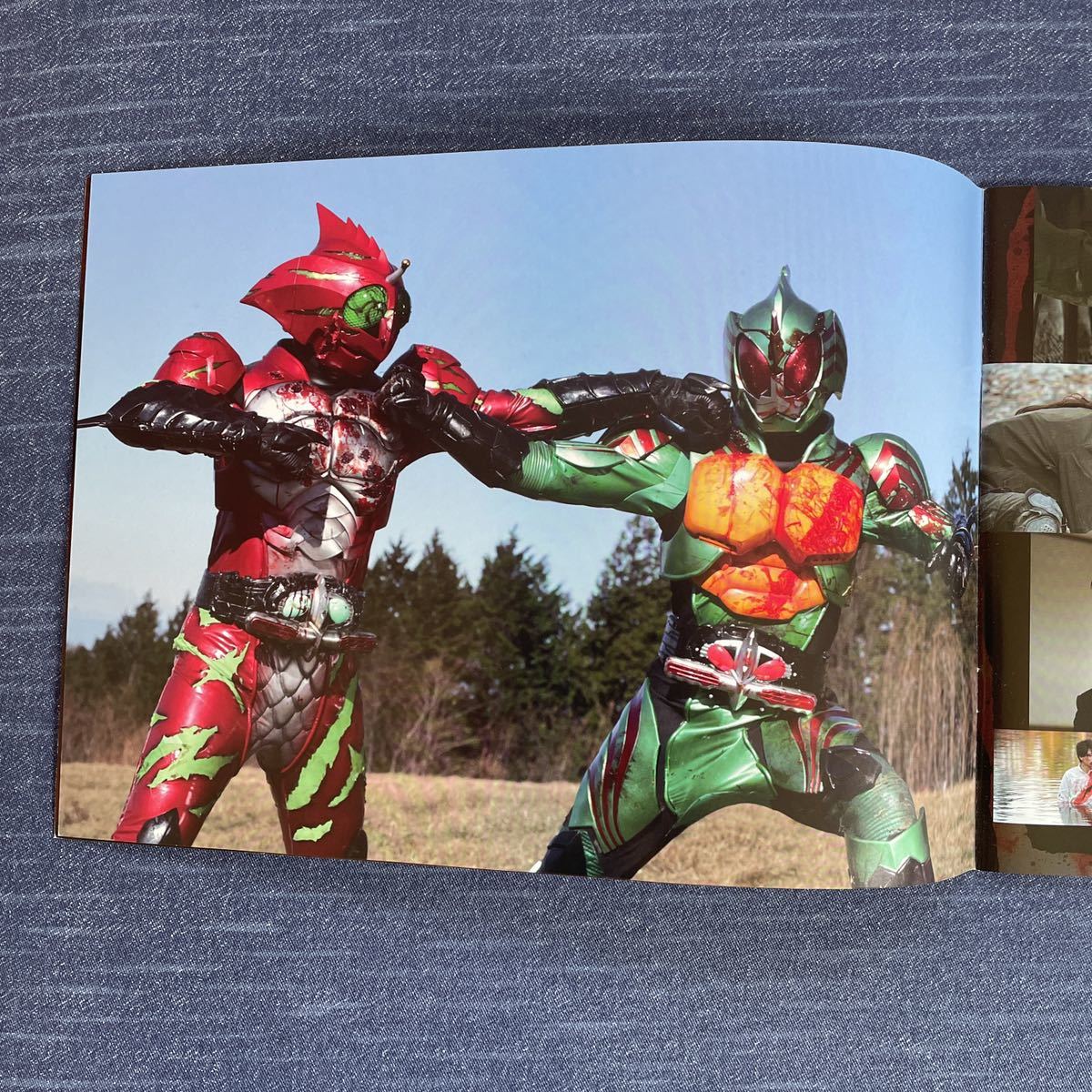 仮面ライダーアマゾンズ The Movie 最後ノ審判 映画パンフレット 藤田富 谷口賢志 特撮 売買されたオークション情報 Yahooの商品情報をアーカイブ公開 オークファン Aucfan Com