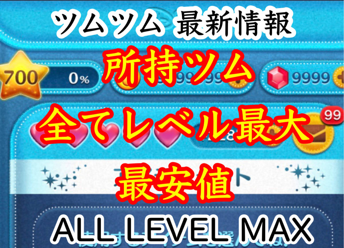 3月最新版 ツムツム 所持ツム全て最大 情報 無限 各種レベル コイン対応 即日対応の入札履歴 - 入札者の順位