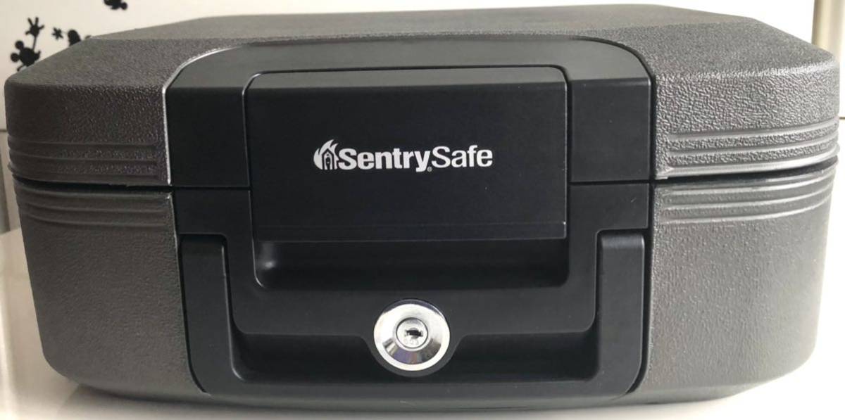 人気SALE，格安 セントリーポータブル 耐火 防水保管庫 金庫 Sentry Safe(金庫)｜売買されたオークション情報、yahooの商品情報をアーカイブ公開 - オークファン 金庫