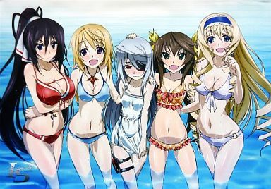 C84 IS＜インフィニット・ストラトス＞ B2タペストリー ヒロイン5人