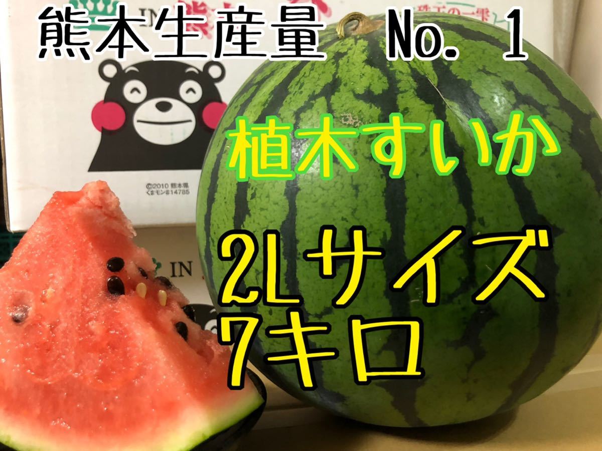 大玉スイカ甘い すいか初物 スイカ 売買されたオークション情報 Yahooの商品情報をアーカイブ公開 オークファン Aucfan Com