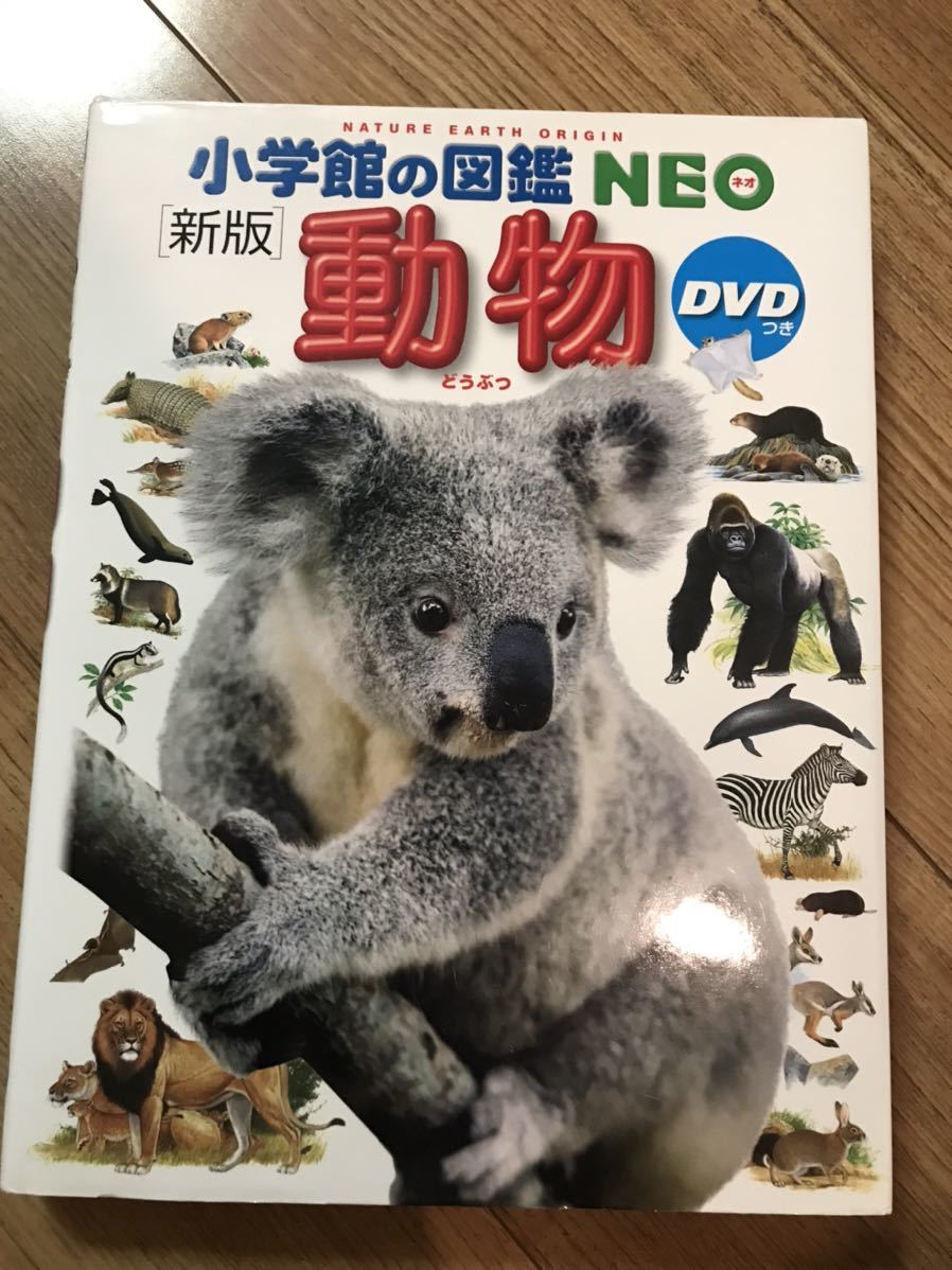 小学館 図鑑10冊