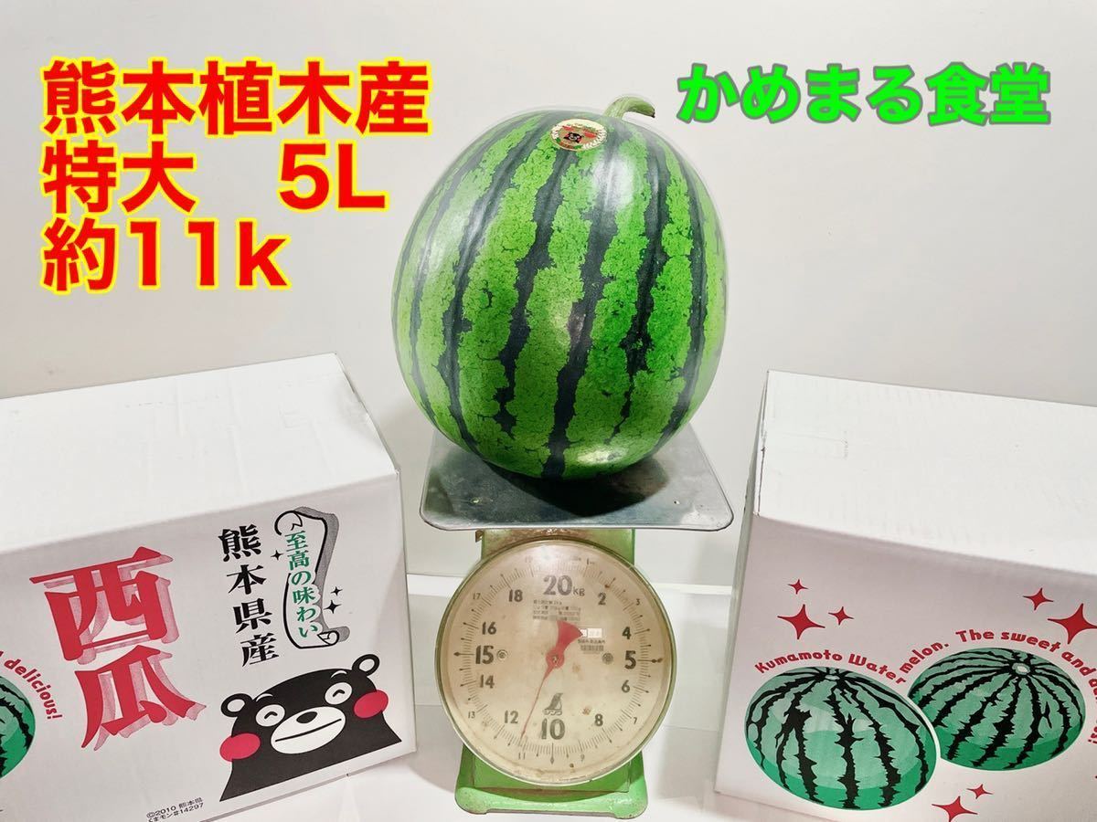 超特大 初物 西瓜 スイカ 約11k 熊本植木産 かめまる食堂9 スイカ 売買されたオークション情報 Yahooの商品情報をアーカイブ公開 オークファン Aucfan Com