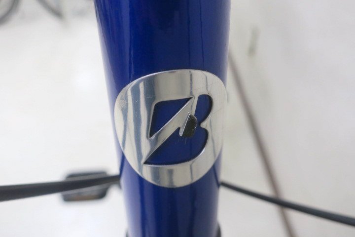 ◎BRIDGESTONE/ブリヂストン SCHLEIN/シュライン SHL67 F.Xグリッター 
