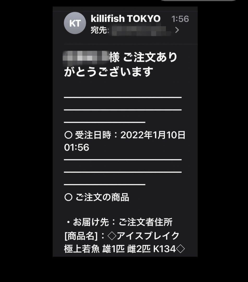 舞めだか様プロデュース メダカ専門店 極上アイスブレイク 光体型 稚魚6匹 無選別 約6 10mm めだか 売買されたオークション情報 Yahooの商品情報をアーカイブ公開 オークファン Aucfan Com
