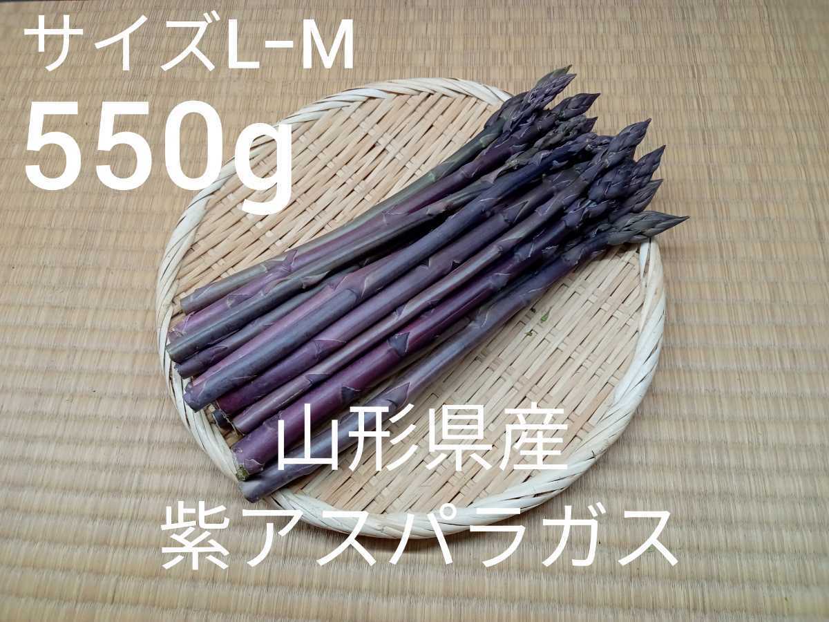 山形県産 紫アスパラガス ｌ ｍサイズ 550g アスパラガス 売買されたオークション情報 Yahooの商品情報をアーカイブ公開 オークファン Aucfan Com