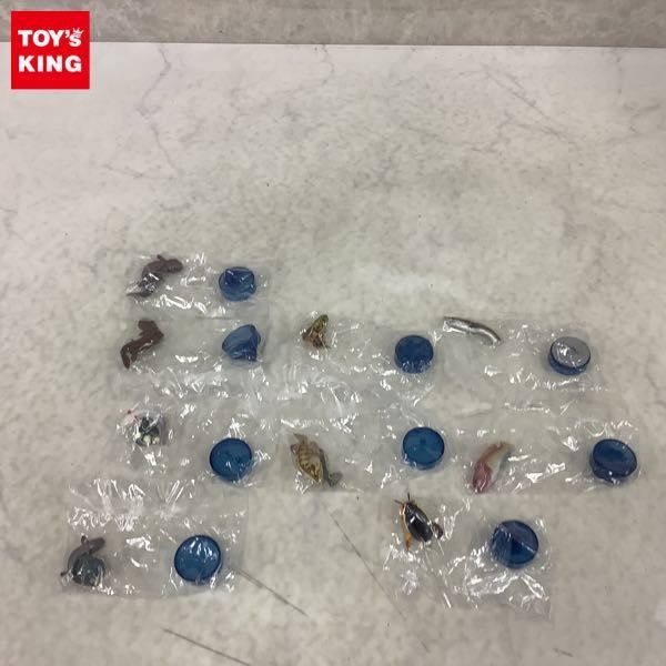  1円 箱無 海洋堂 京都水族館フィギュアコレクション 全9種 コンプ オオサンショウウオ 交雑種 オヤニラミ 他(その他)｜売買されたオークション情報、yahooの商品情報をアーカイブ公開 - オー その他