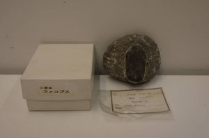 三葉虫のYahoo!オークション(旧ヤフオク!)の相場・価格を見る｜Yahoo