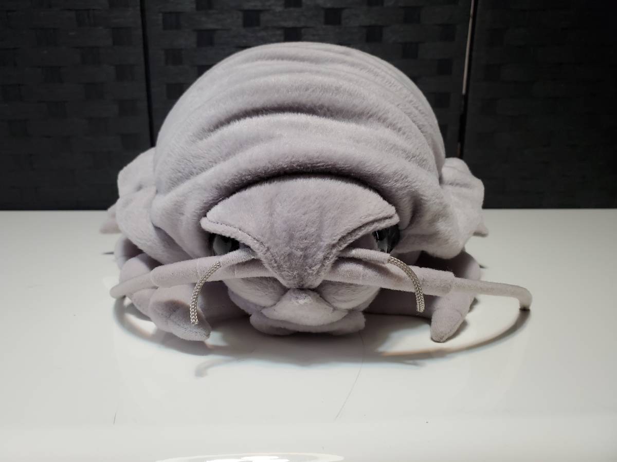 好評にて期間延長 オオグソクムシぬいぐるみ クッション Bardekenhof Be